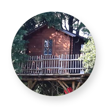 Casetta di legno sull'albero -Parco Paradiso a Orgiano (VI)