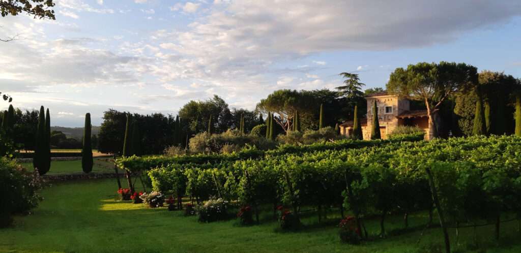 La torre sulla vigna di Parco paradiso, a Orgiano (VI)