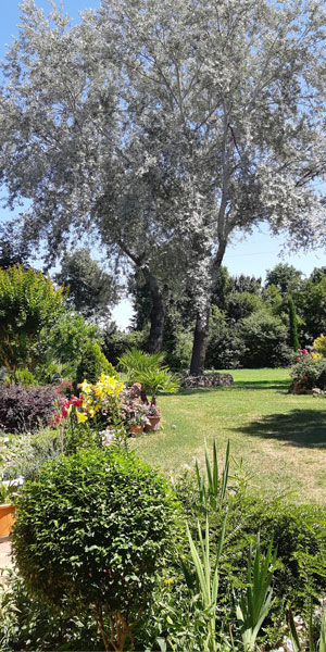 Il giardino del Parco Paradiso a Orgiano (VI)