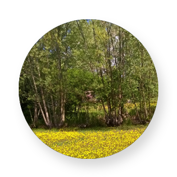 il laghetto -Parco Paradiso a Orgiano (VI)