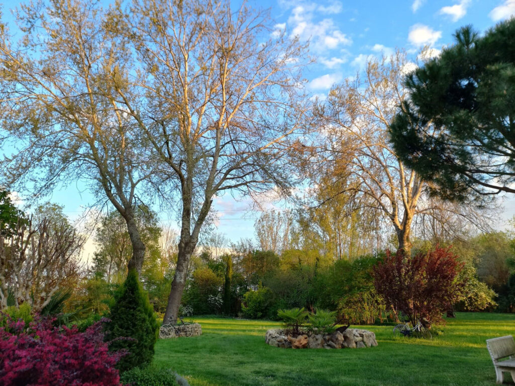 Giardino di Parco paradiso