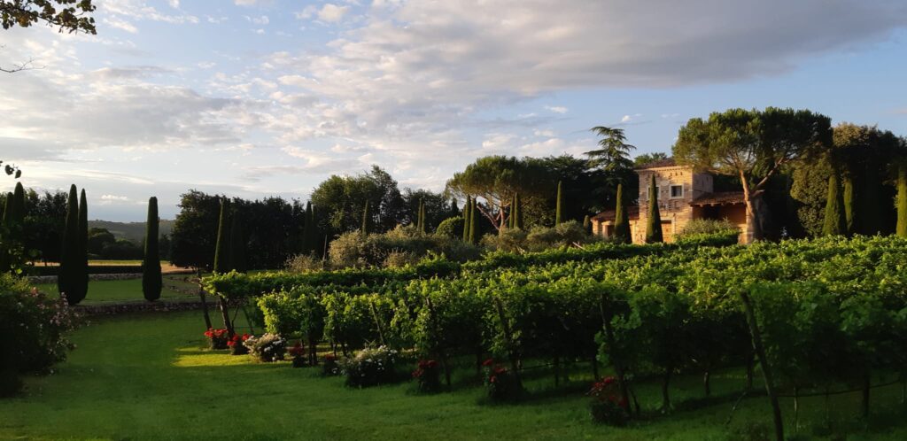 Vista del vigneto sotto alla torre di Parco Paradiso a Orgiano (Vicenza)