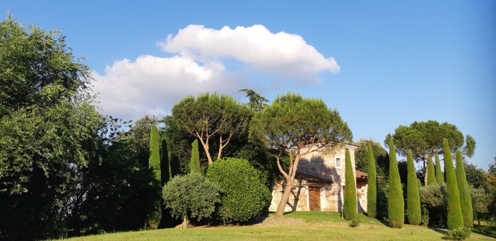 Vista del vigneto sotto alla torre di Parco Paradiso a Orgiano (Vicenza)
