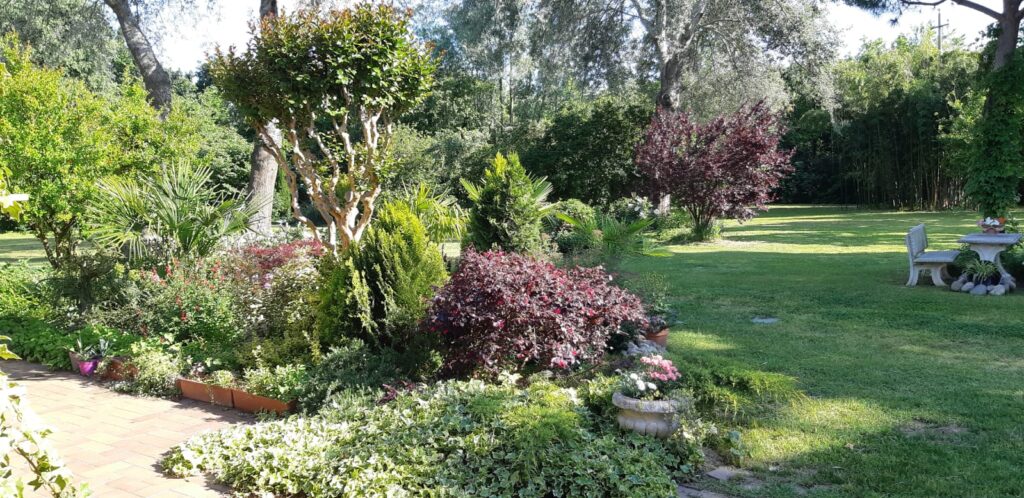 Vista del giardino di Parco Paradiso