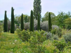 Parco Paradiso a Orgiano (VI)