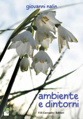 Giovanni Nalin - libro ambiente e dintorni - f.lli Corradin Editori