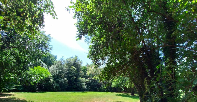Parco Paradiso a Orgiano, il giardino di fronte alla casa
