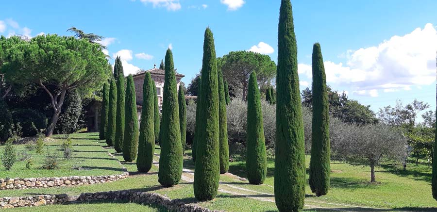 Vialetto dei cipressi verso la torre