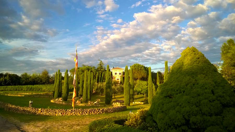 Viale dei cipressi verso la torre