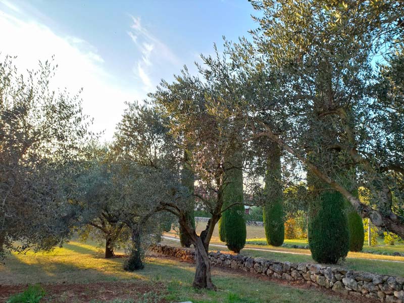 i muretti del vialetto dei cipressi verso la torre