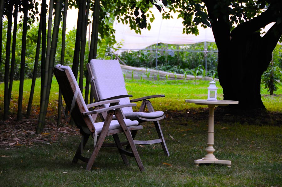 Il canneto di bamboo del giardino di Parco Paradiso a Orgiano (VI)